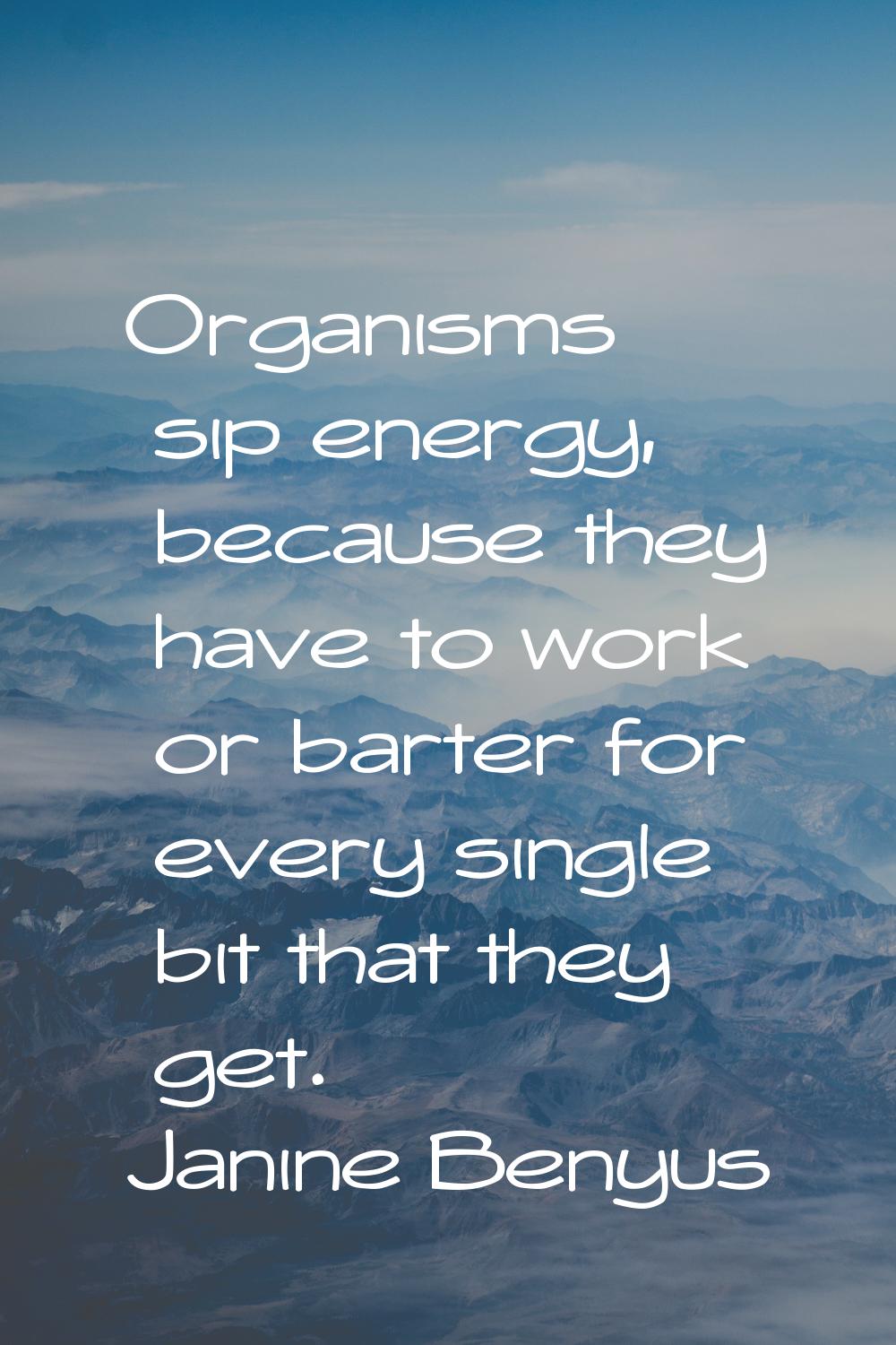 Organisms sip energy, because they have to work or barter for every single bit that they get.
