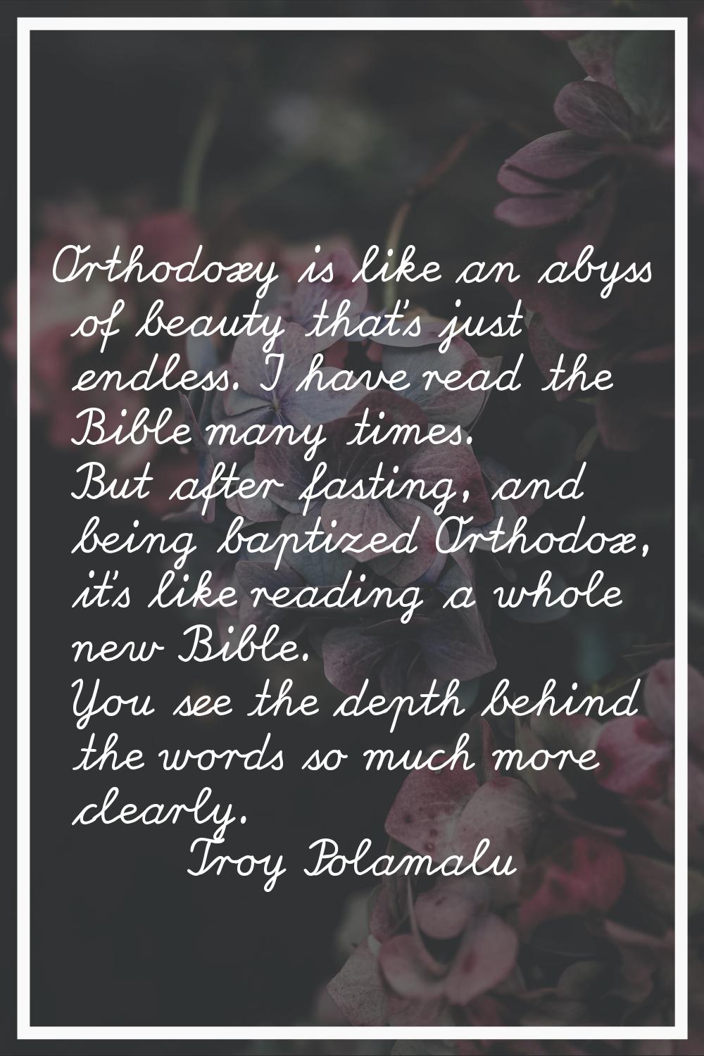 Orthodoxy is like an abyss of beauty that's just endless. I have read the Bible many times. But aft