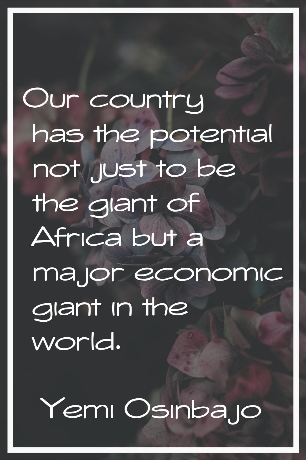 Our country has the potential not just to be the giant of Africa but a major economic giant in the 