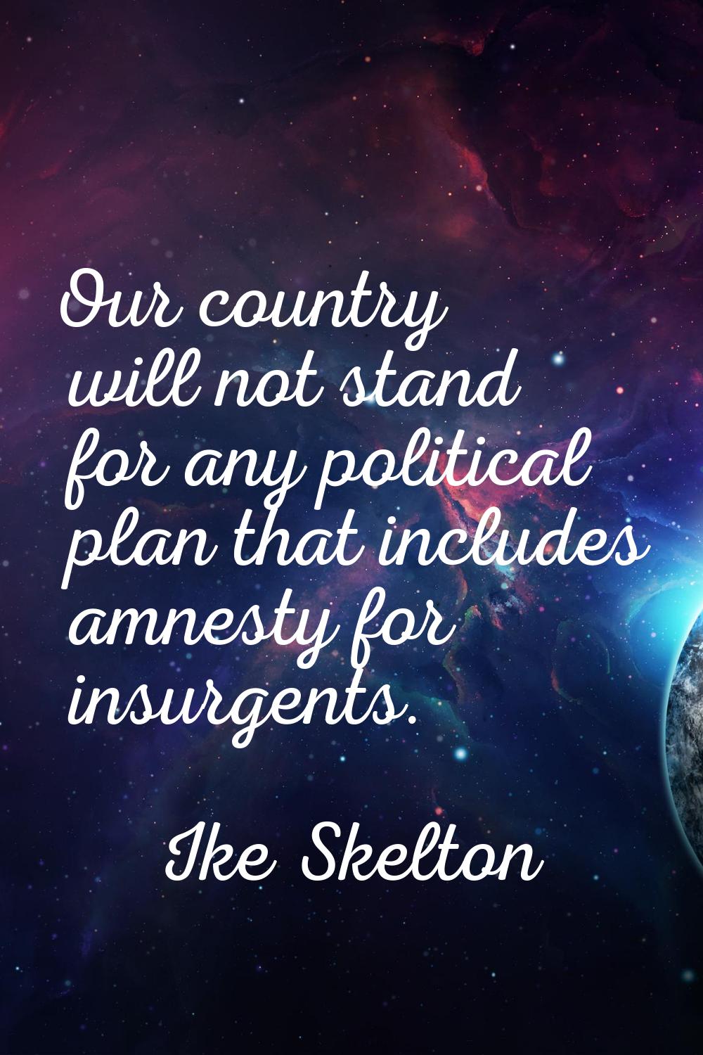 Our country will not stand for any political plan that includes amnesty for insurgents.