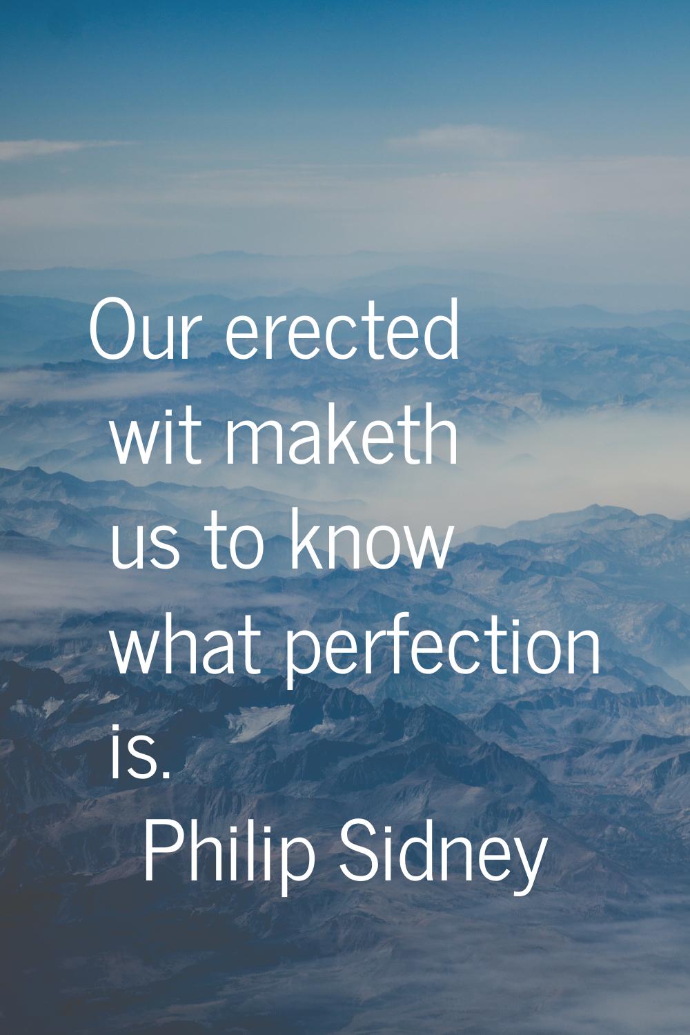 Our erected wit maketh us to know what perfection is.