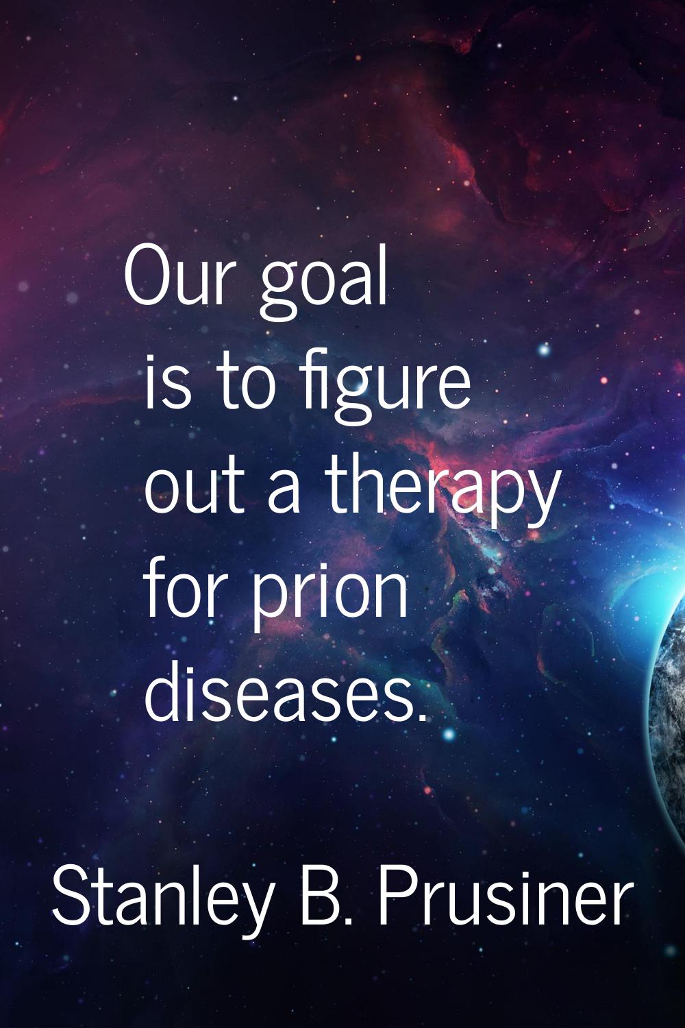 Our goal is to figure out a therapy for prion diseases.