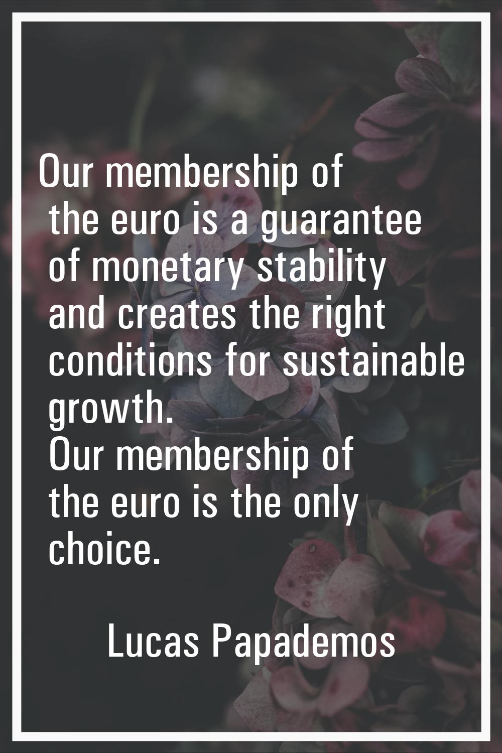 Our membership of the euro is a guarantee of monetary stability and creates the right conditions fo