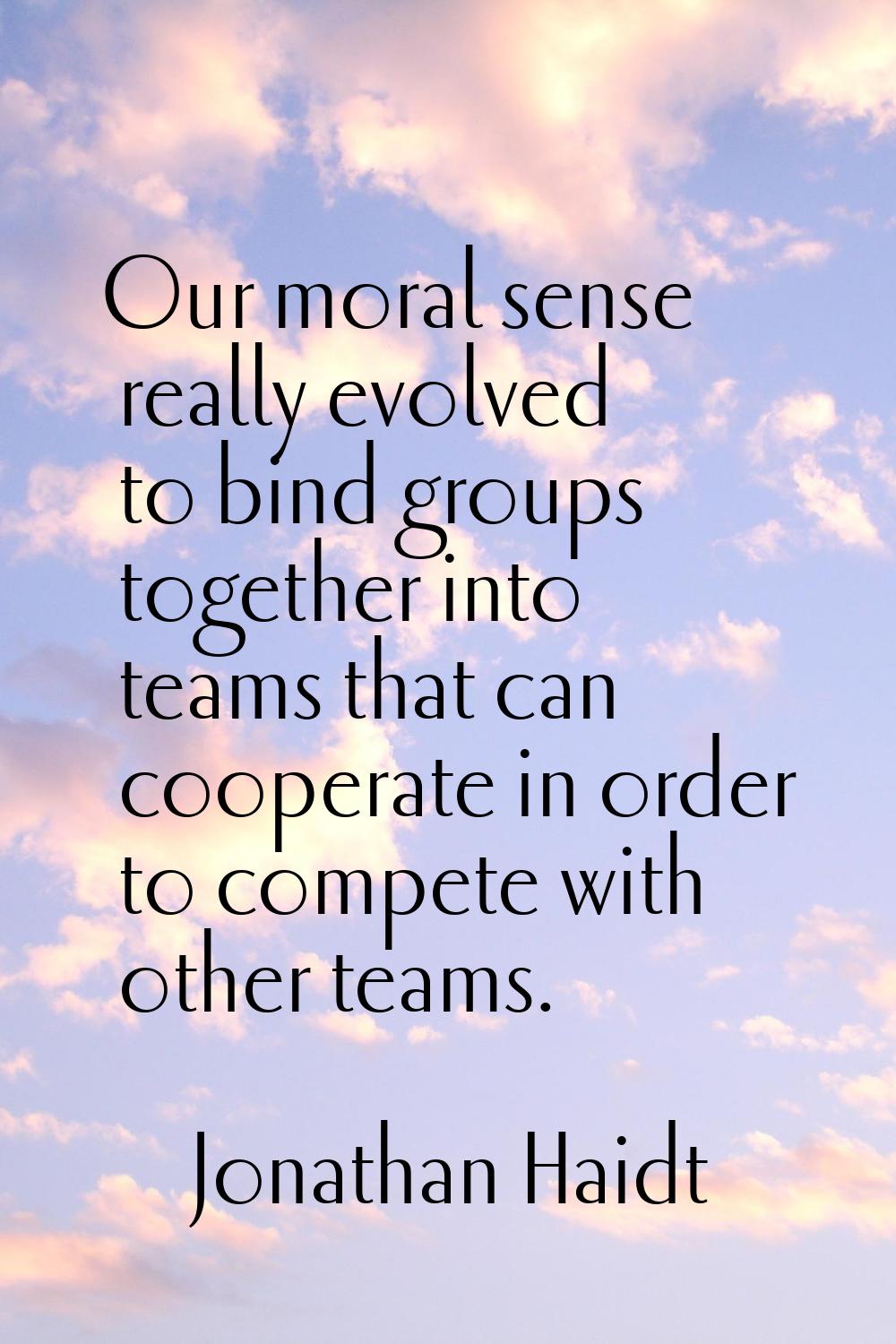 Our moral sense really evolved to bind groups together into teams that can cooperate in order to co