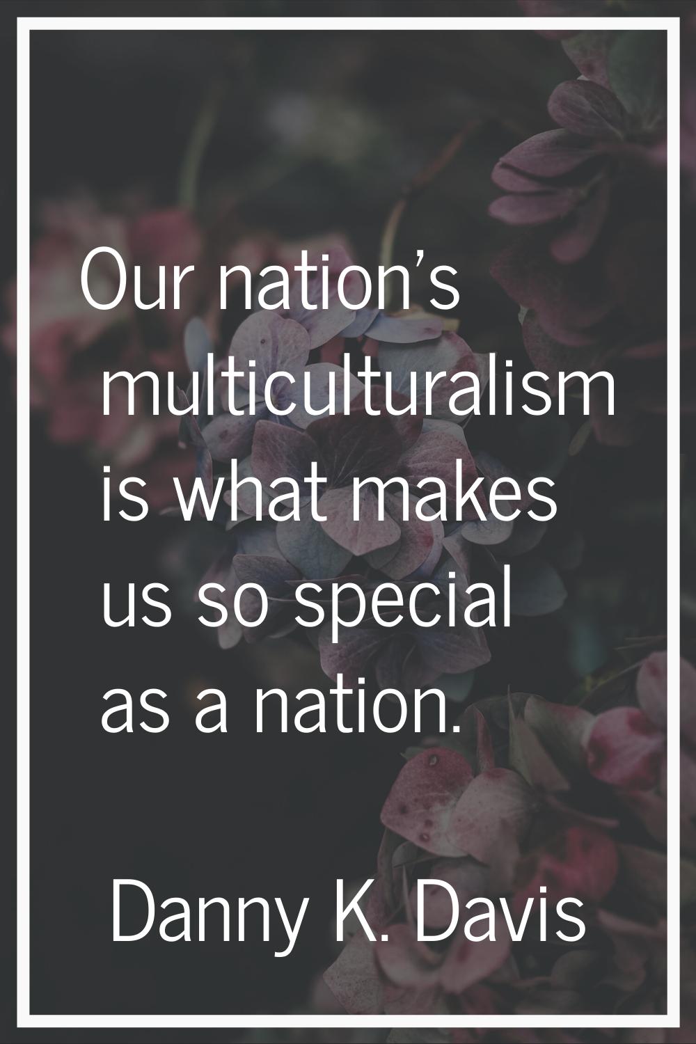 Our nation's multiculturalism is what makes us so special as a nation.