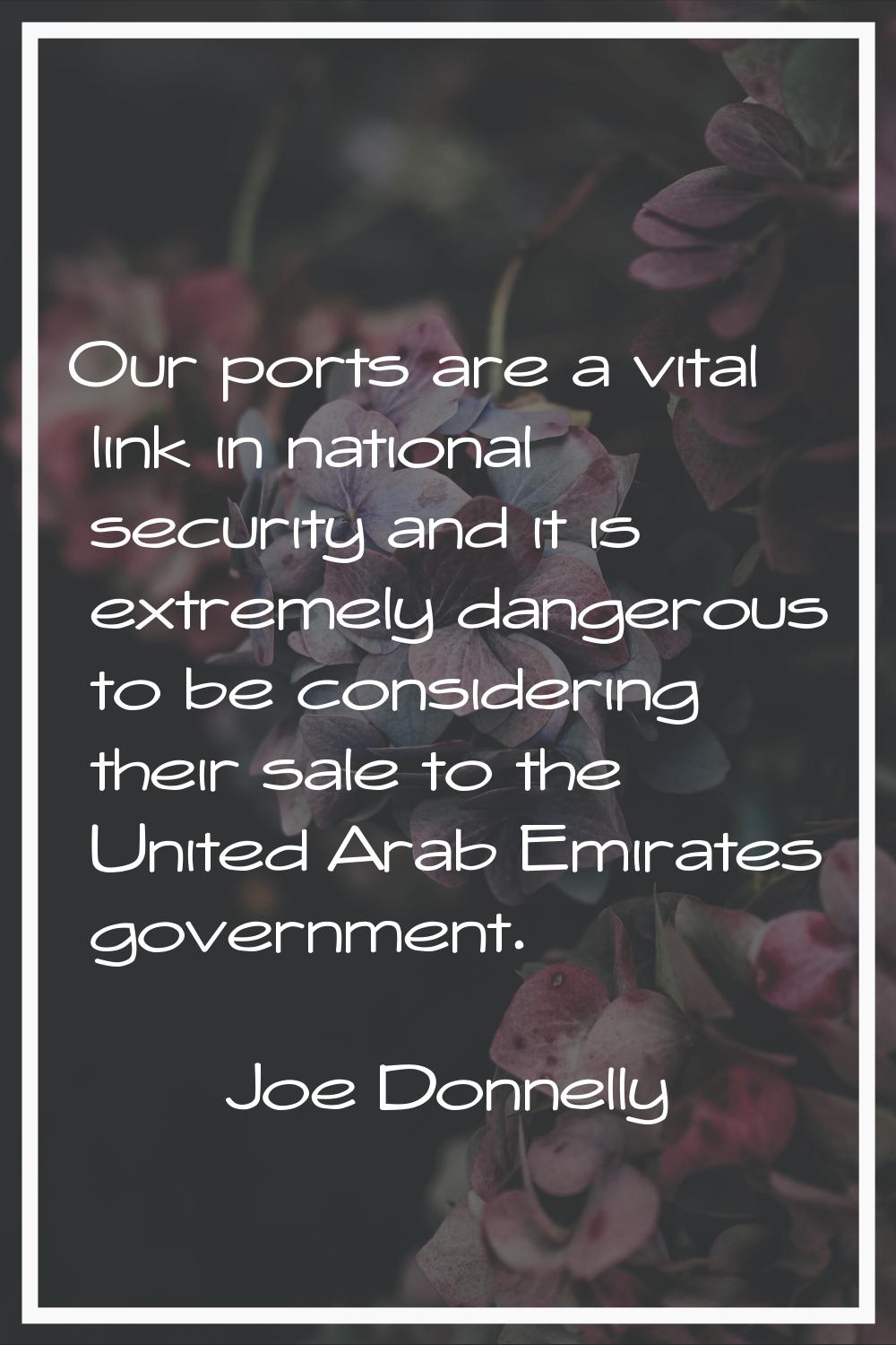 Our ports are a vital link in national security and it is extremely dangerous to be considering the