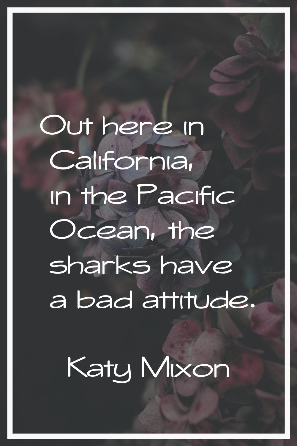 Out here in California, in the Pacific Ocean, the sharks have a bad attitude.
