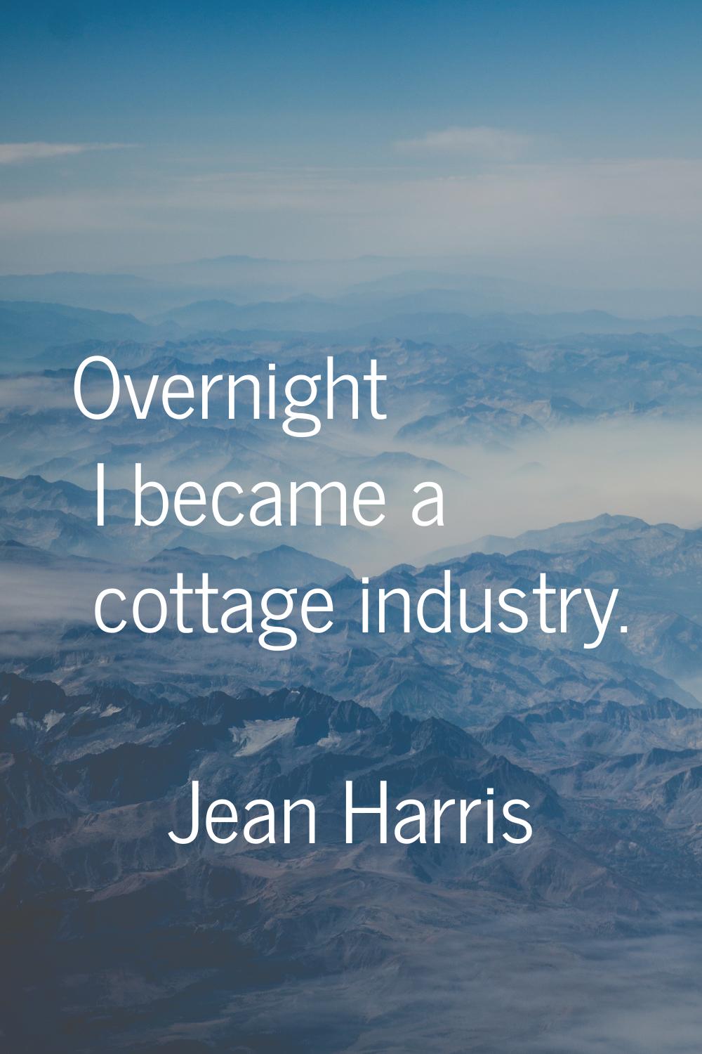 Overnight I became a cottage industry.