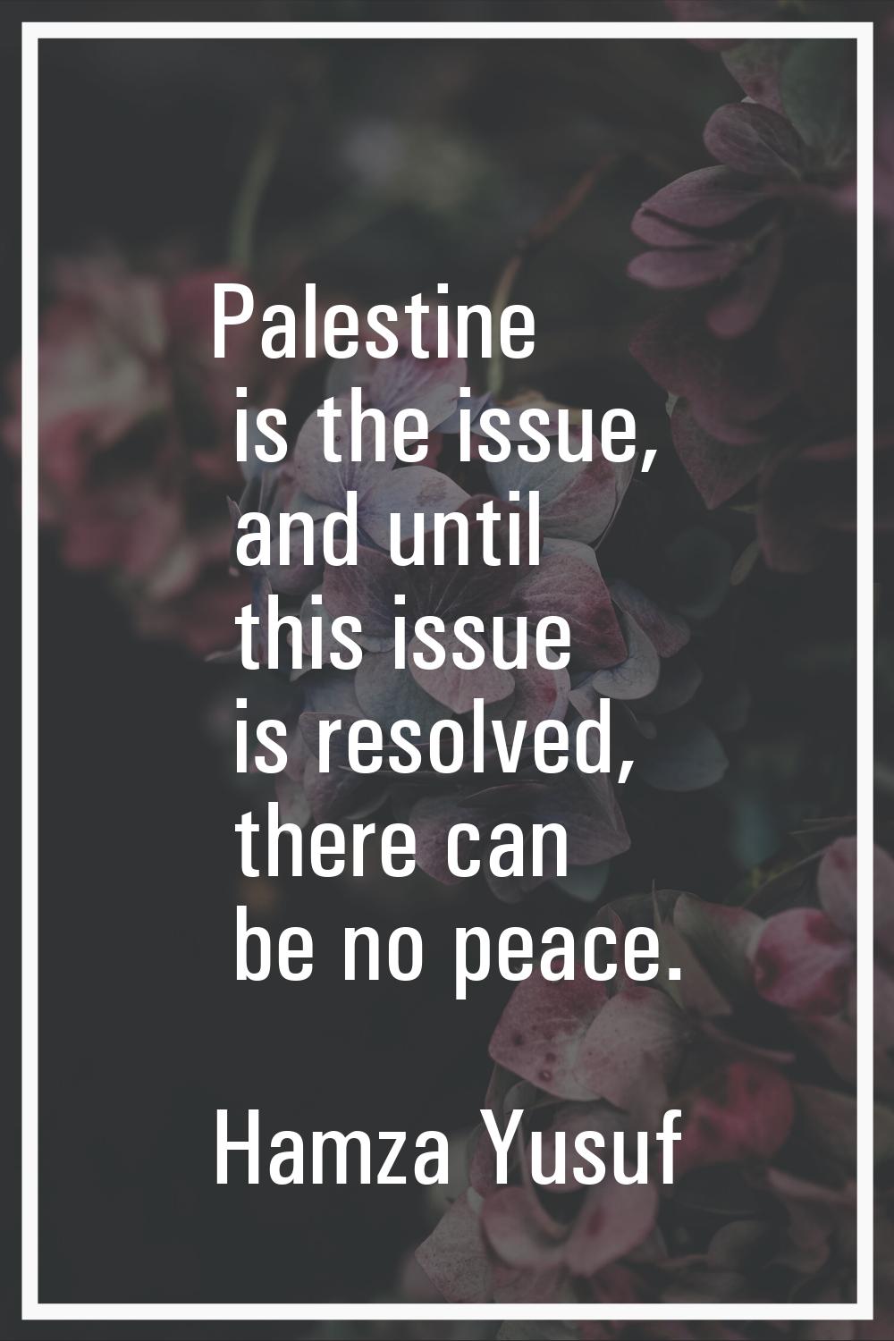 Palestine is the issue, and until this issue is resolved, there can be no peace.