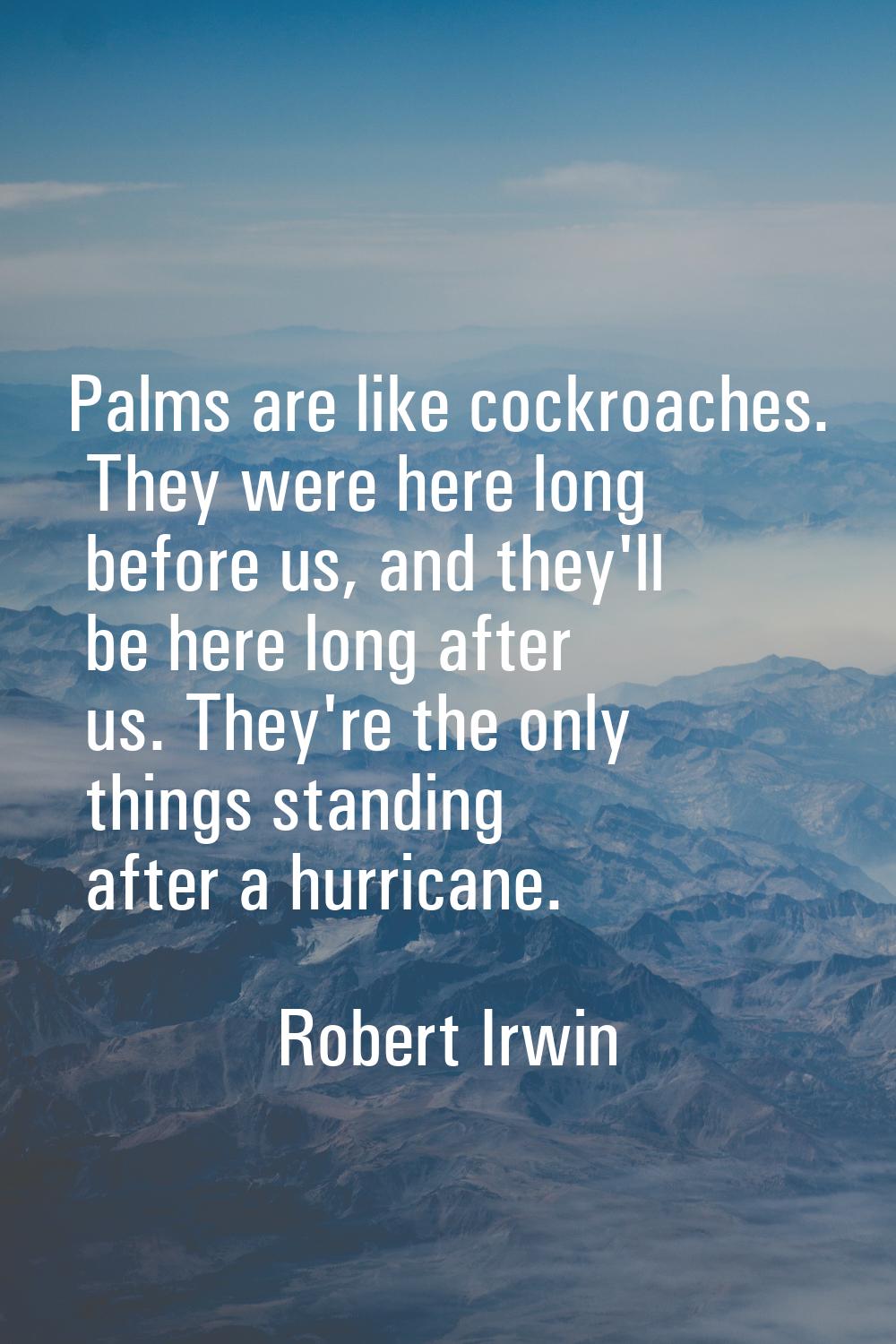 Palms are like cockroaches. They were here long before us, and they'll be here long after us. They'
