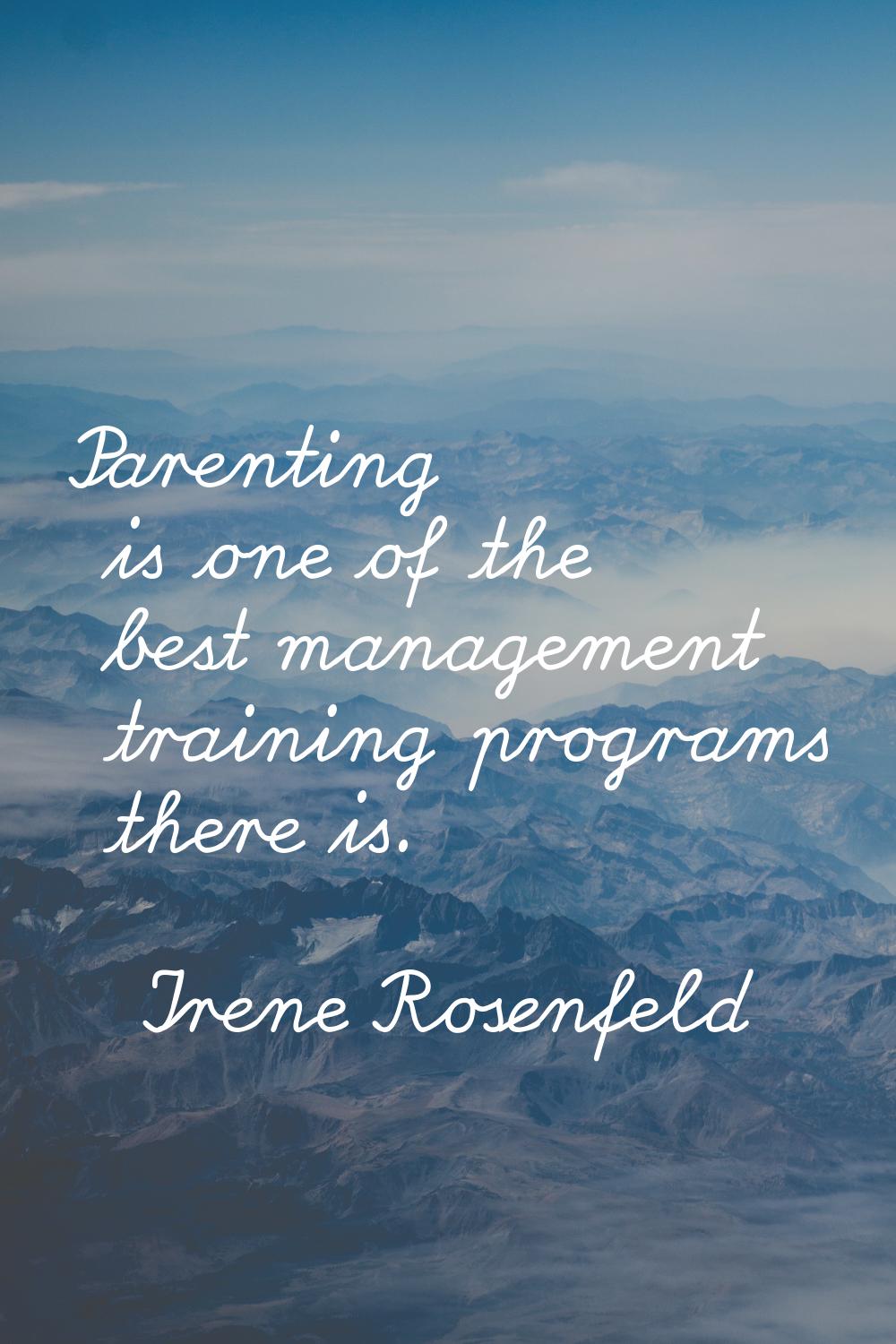 Parenting is one of the best management training programs there is.