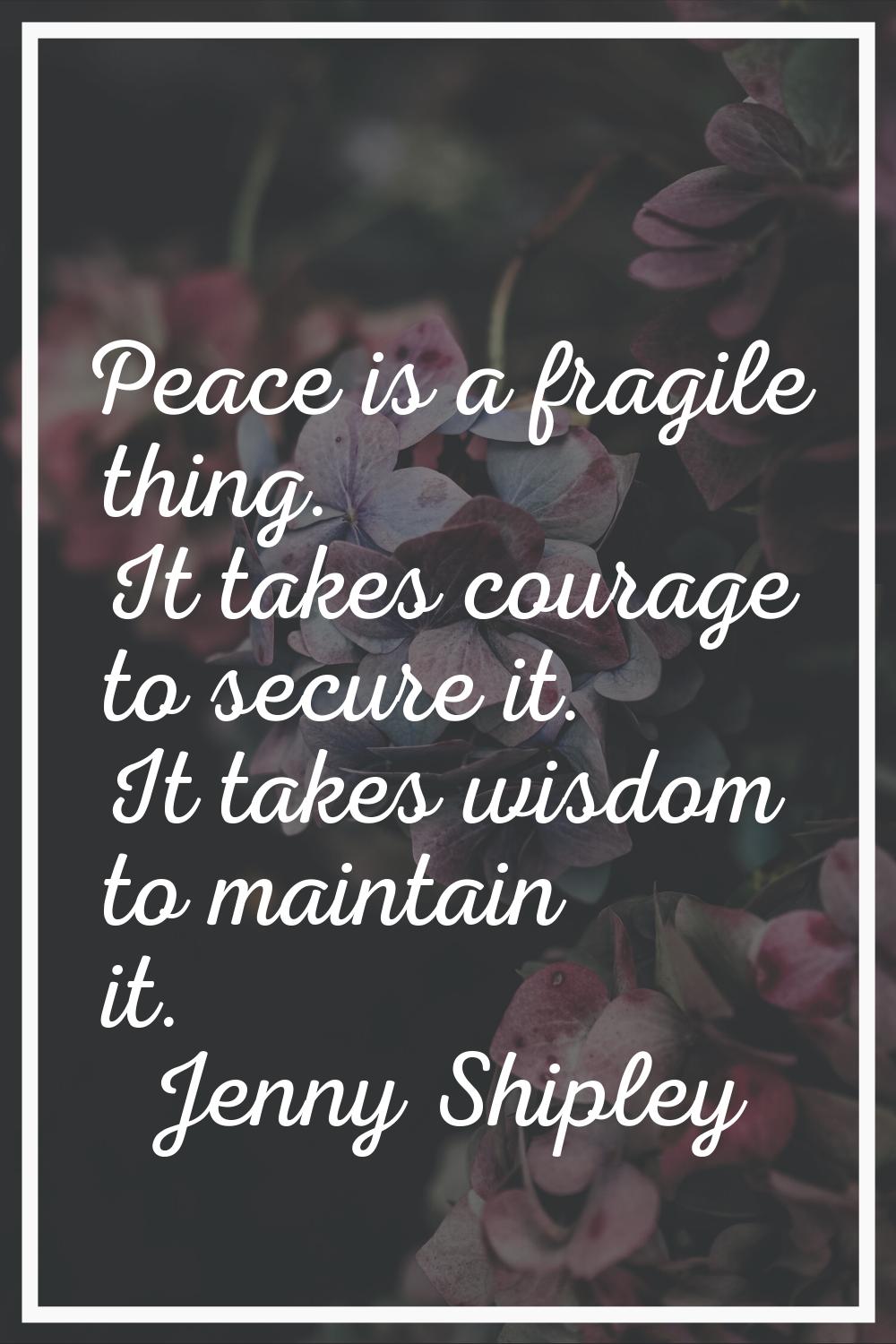 Peace is a fragile thing. It takes courage to secure it. It takes wisdom to maintain it.