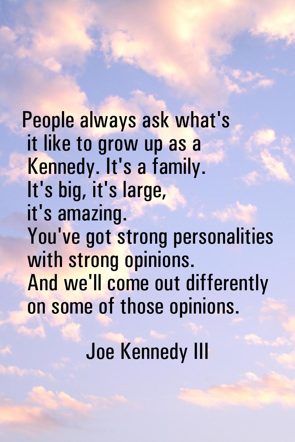 People always ask what's it like to grow up as a Kennedy. It's a family. It's big, it's large, it's