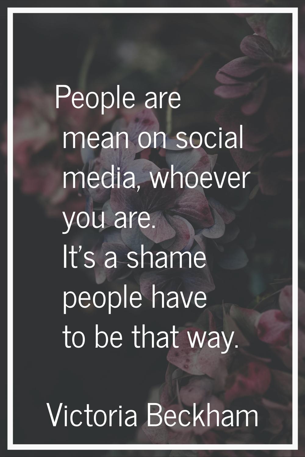 People are mean on social media, whoever you are. It's a shame people have to be that way.