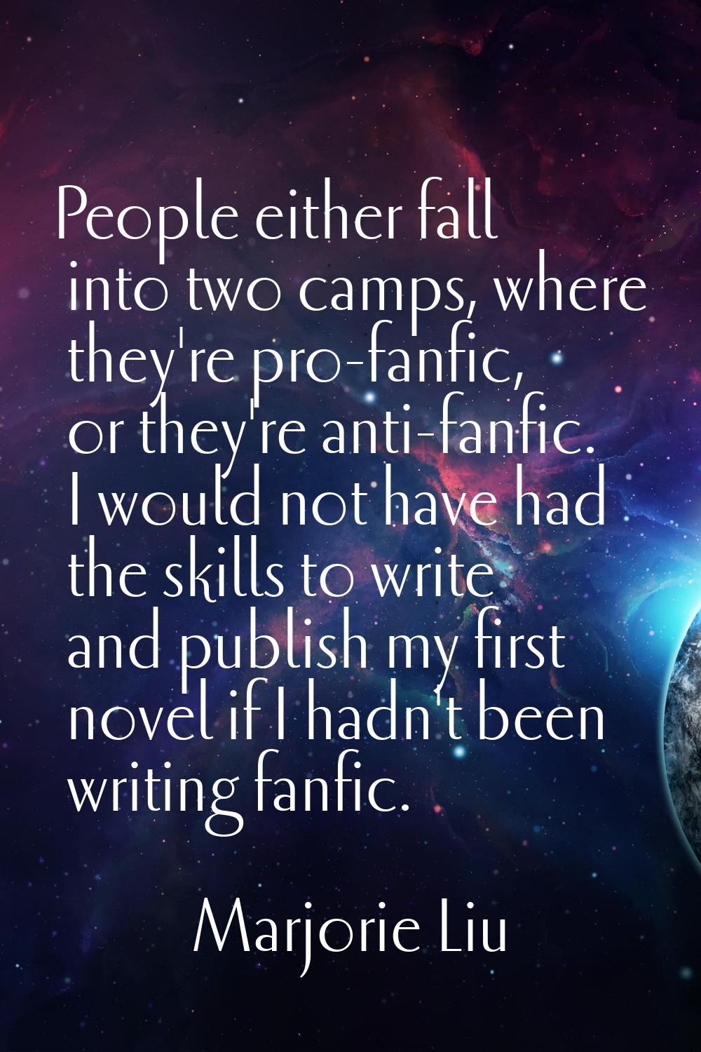 People either fall into two camps, where they're pro-fanfic, or they're anti-fanfic. I would not ha