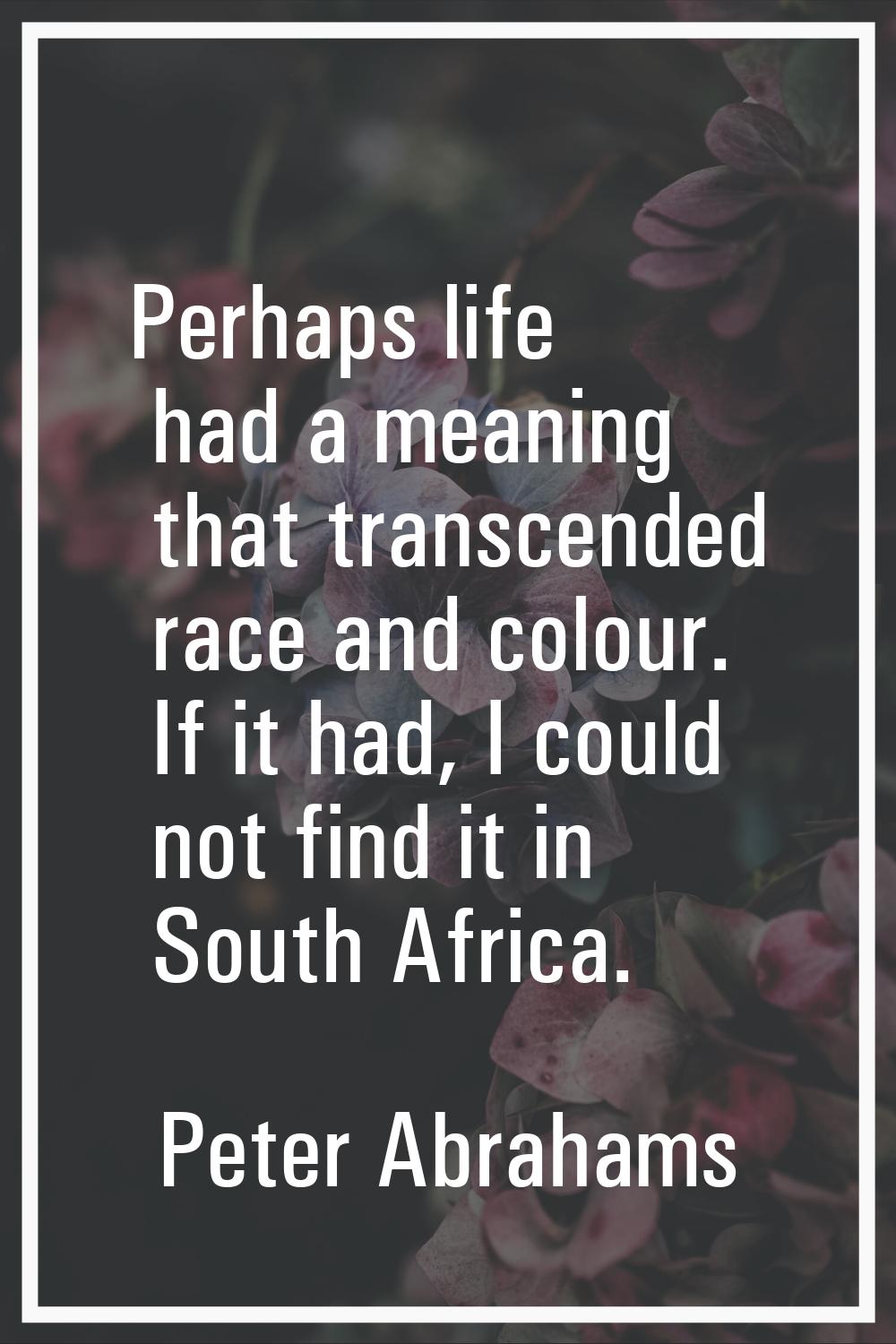 Perhaps life had a meaning that transcended race and colour. If it had, I could not find it in Sout