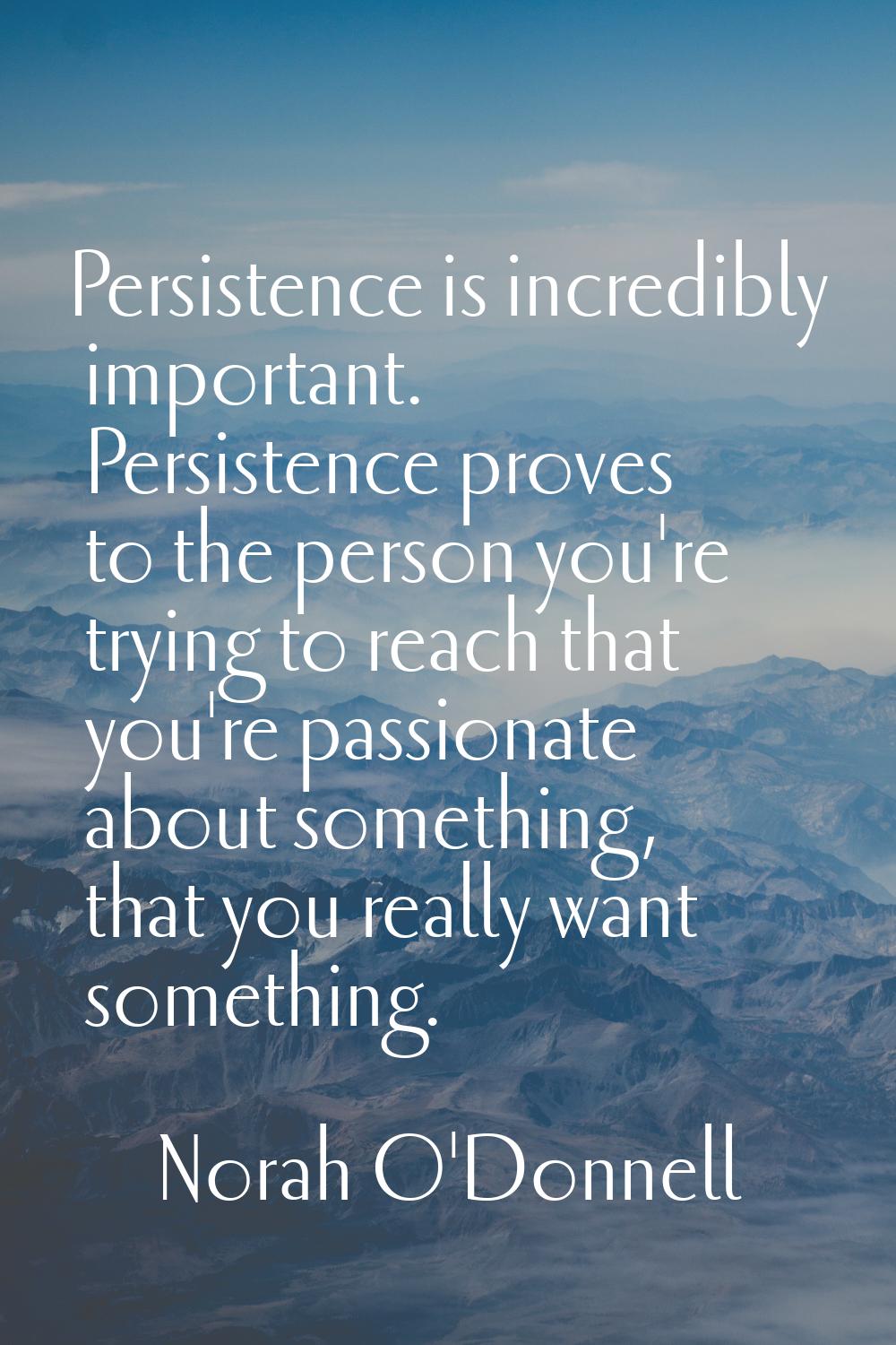 Persistence is incredibly important. Persistence proves to the person you're trying to reach that y