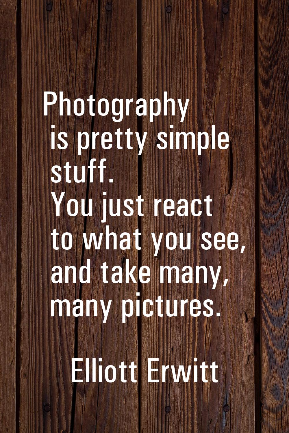 Photography is pretty simple stuff. You just react to what you see, and take many, many pictures.