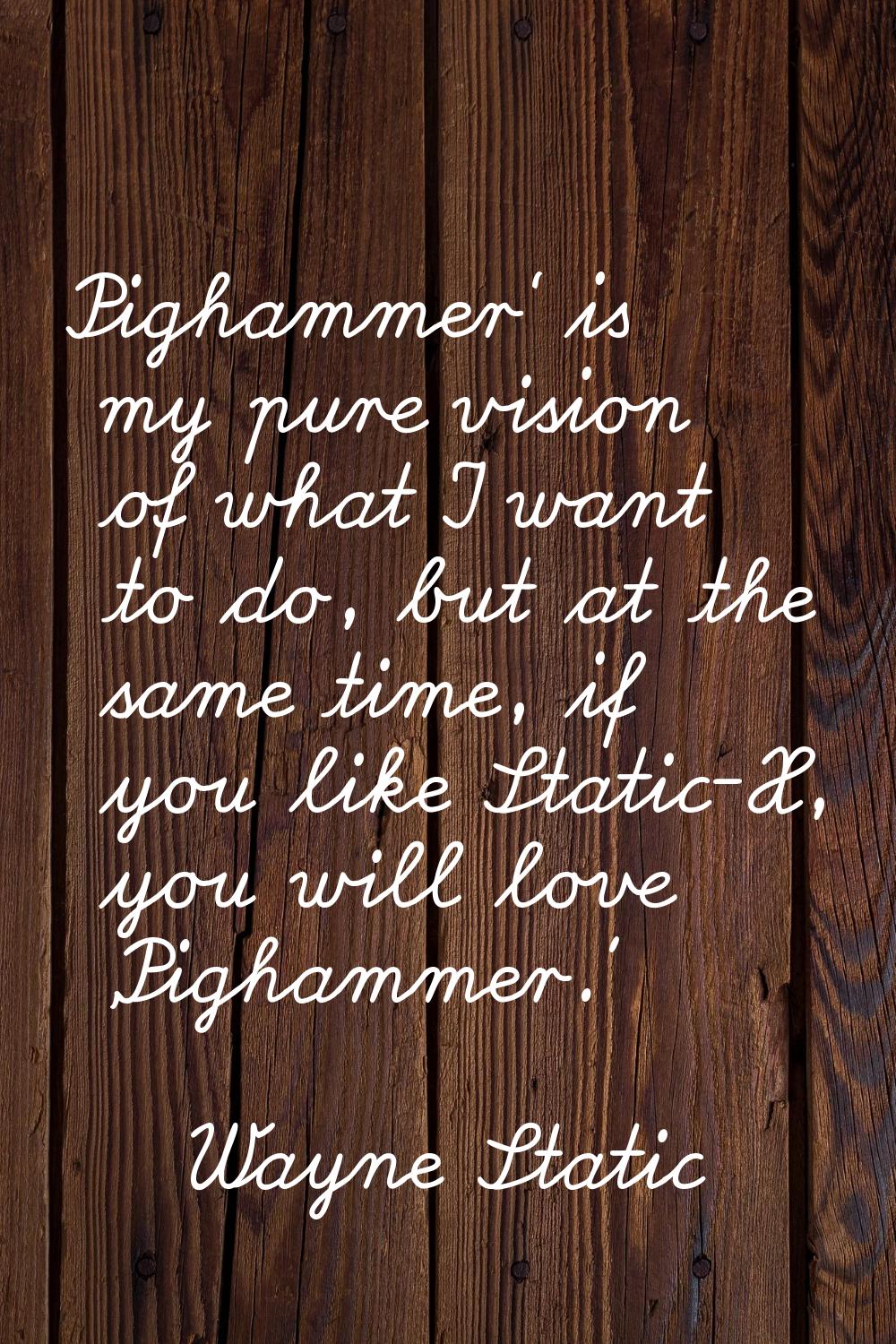 Pighammer' is my pure vision of what I want to do, but at the same time, if you like Static-X, you 