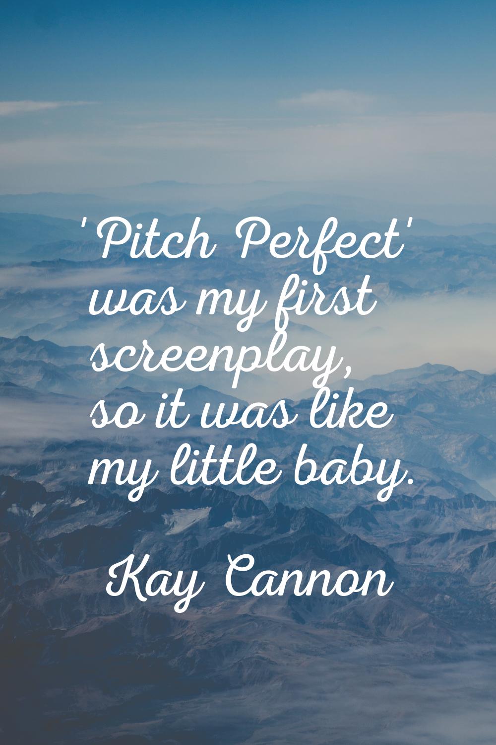 'Pitch Perfect' was my first screenplay, so it was like my little baby.