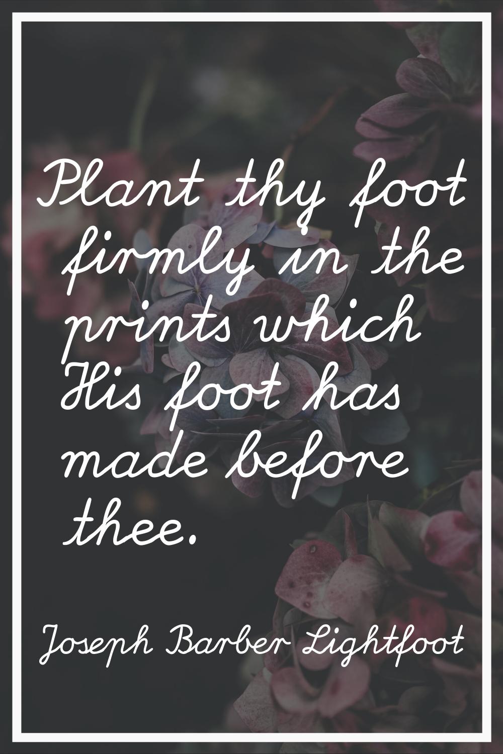 Plant thy foot firmly in the prints which His foot has made before thee.