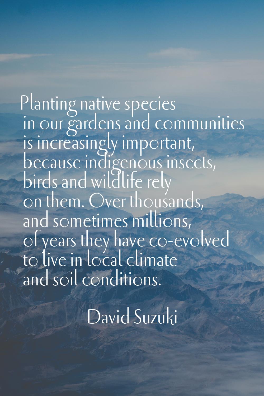 Planting native species in our gardens and communities is increasingly important, because indigenou