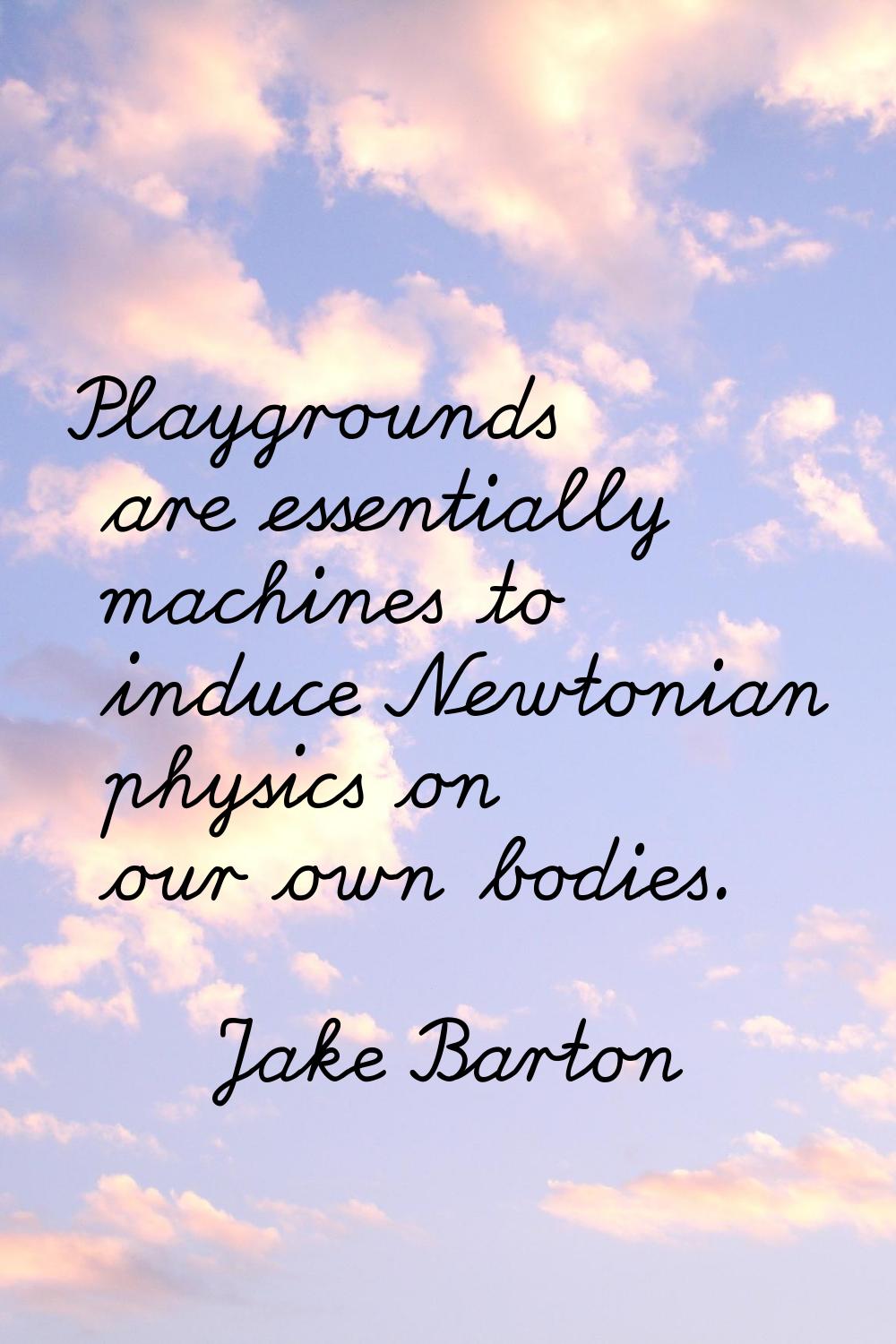 Playgrounds are essentially machines to induce Newtonian physics on our own bodies.