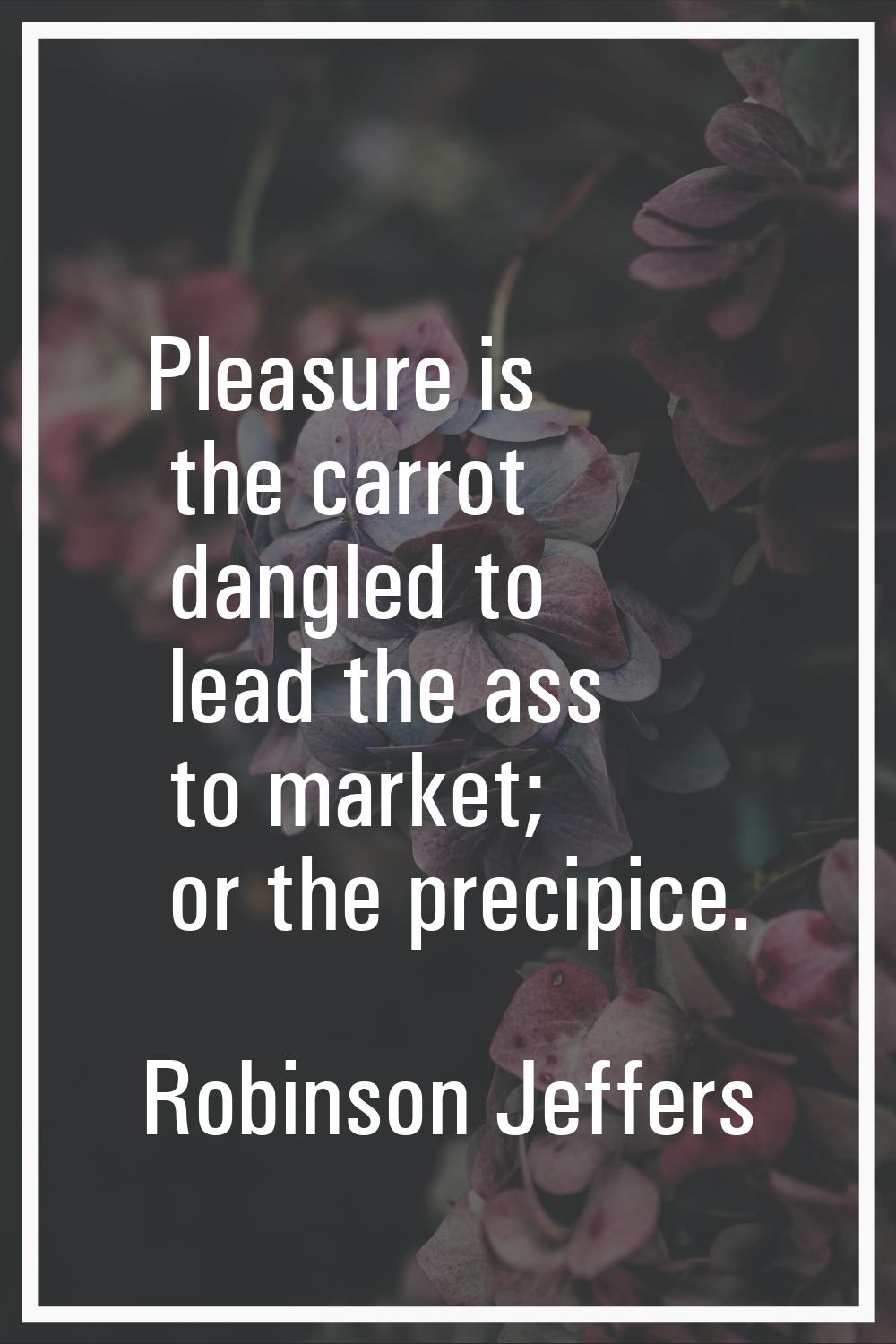 Pleasure is the carrot dangled to lead the ass to market; or the precipice.