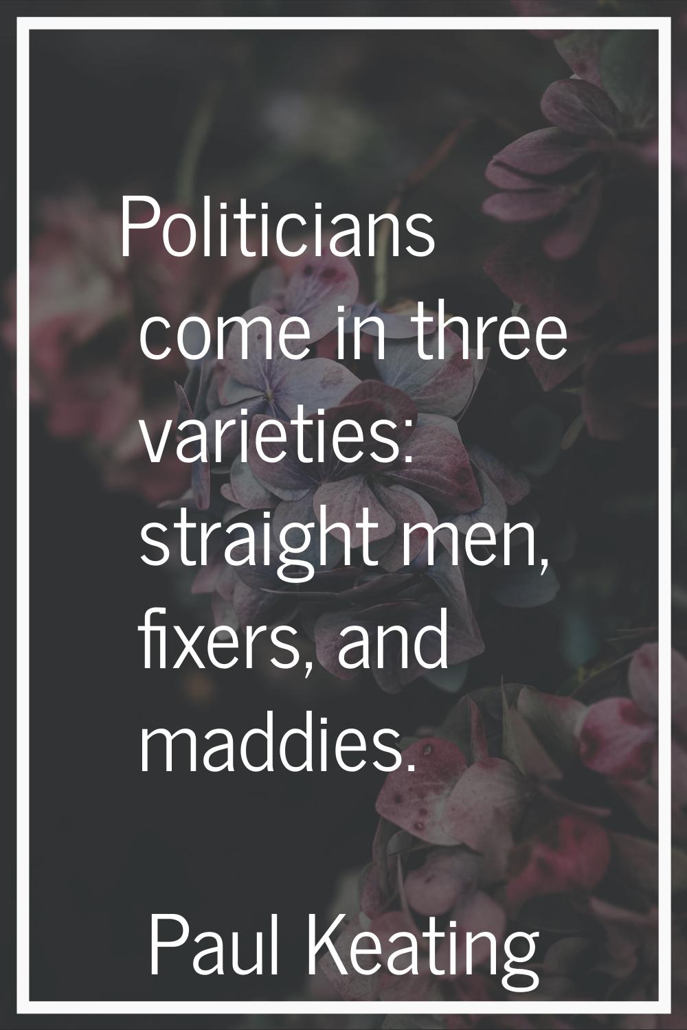 Politicians come in three varieties: straight men, fixers, and maddies.