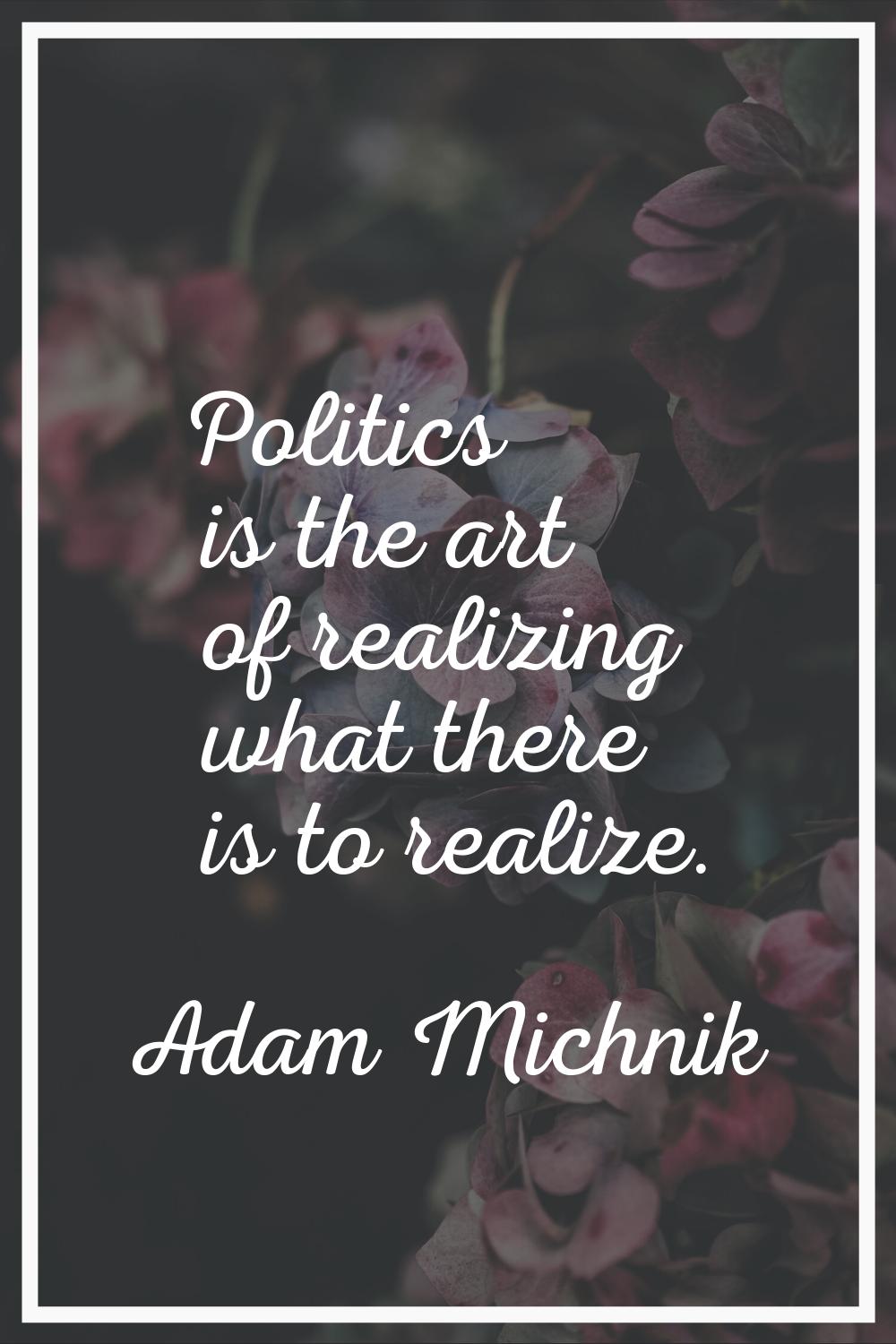Politics is the art of realizing what there is to realize.