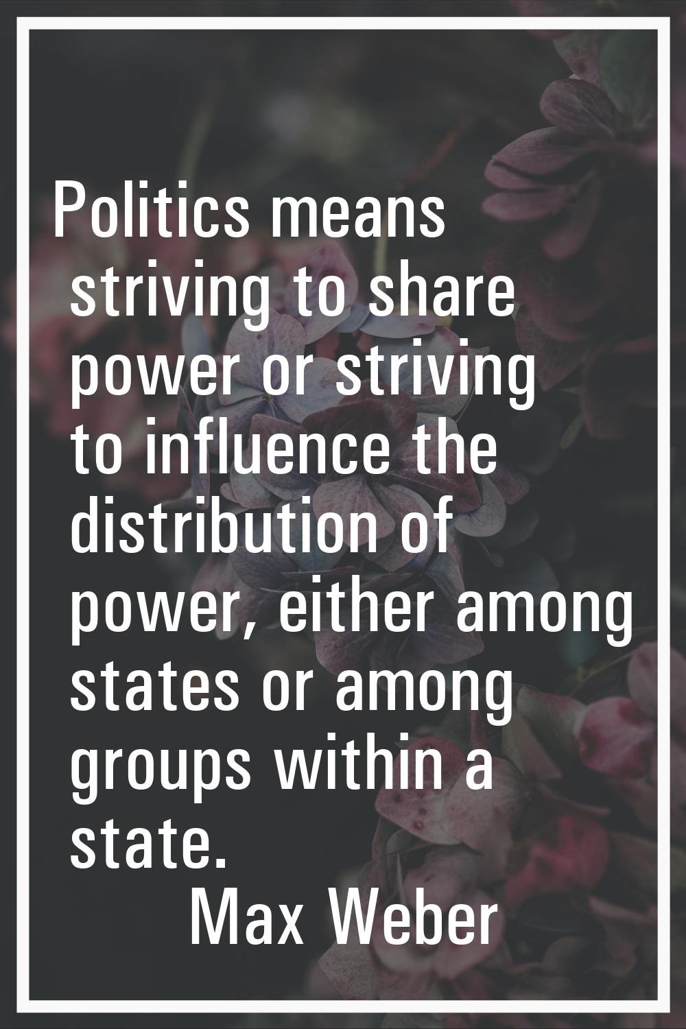 Politics means striving to share power or striving to influence the distribution of power, either a