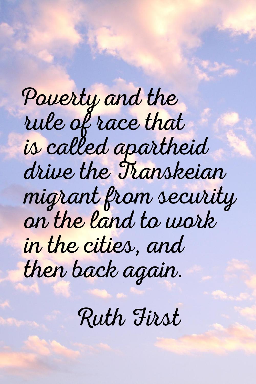 Poverty and the rule of race that is called apartheid drive the Transkeian migrant from security on