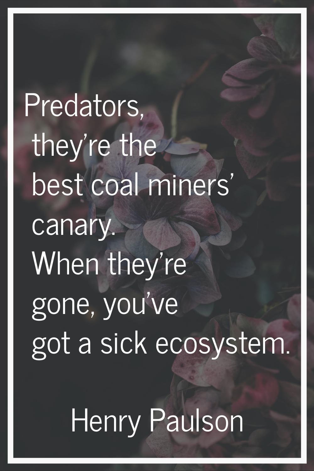 Predators, they're the best coal miners' canary. When they're gone, you've got a sick ecosystem.