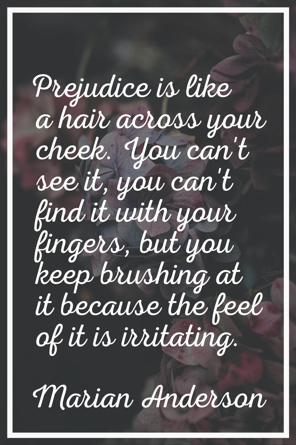 Prejudice is like a hair across your cheek. You can't see it, you can't find it with your fingers, 