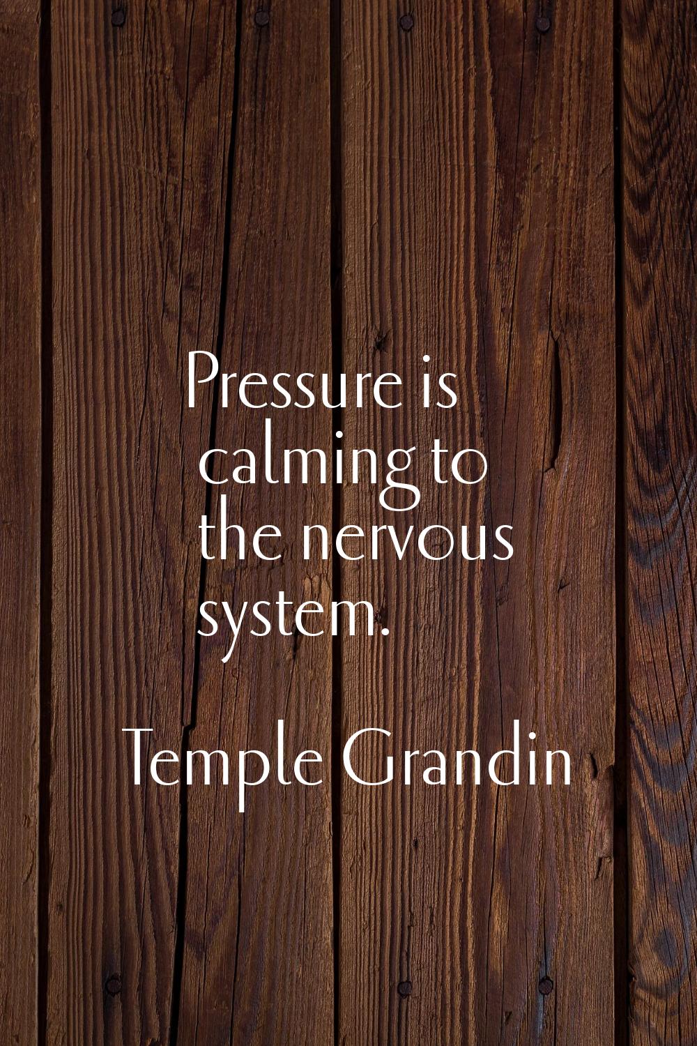 Pressure is calming to the nervous system.