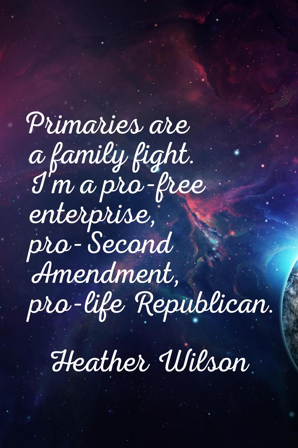 Primaries are a family fight. I'm a pro-free enterprise, pro-Second Amendment, pro-life Republican.