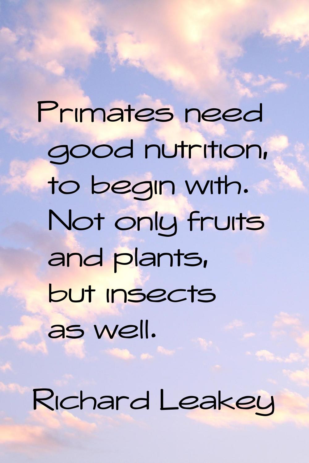 Primates need good nutrition, to begin with. Not only fruits and plants, but insects as well.