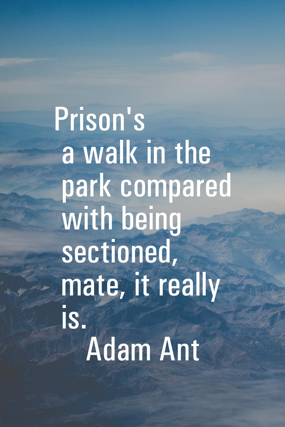 Prison's a walk in the park compared with being sectioned, mate, it really is.
