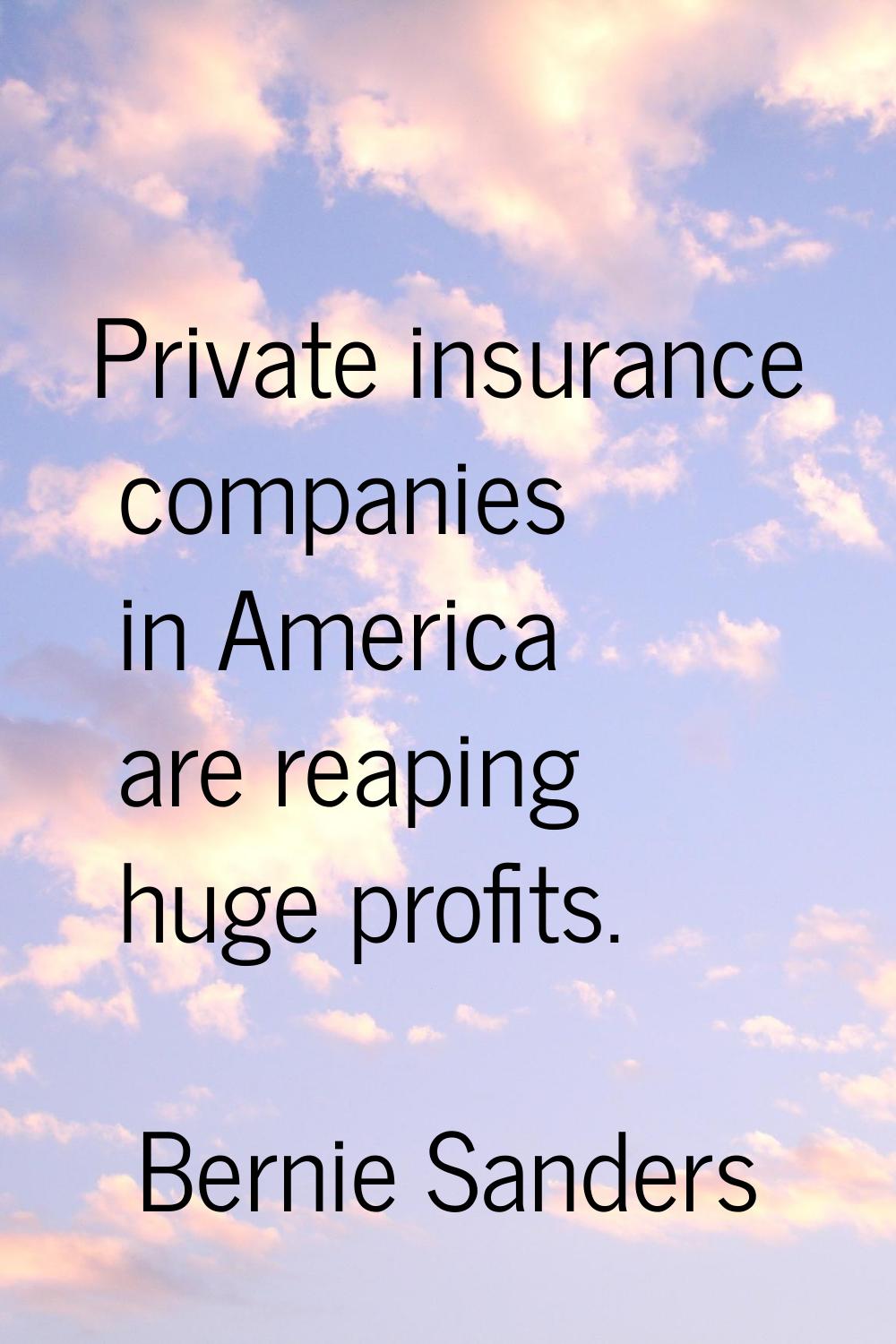 Private insurance companies in America are reaping huge profits.