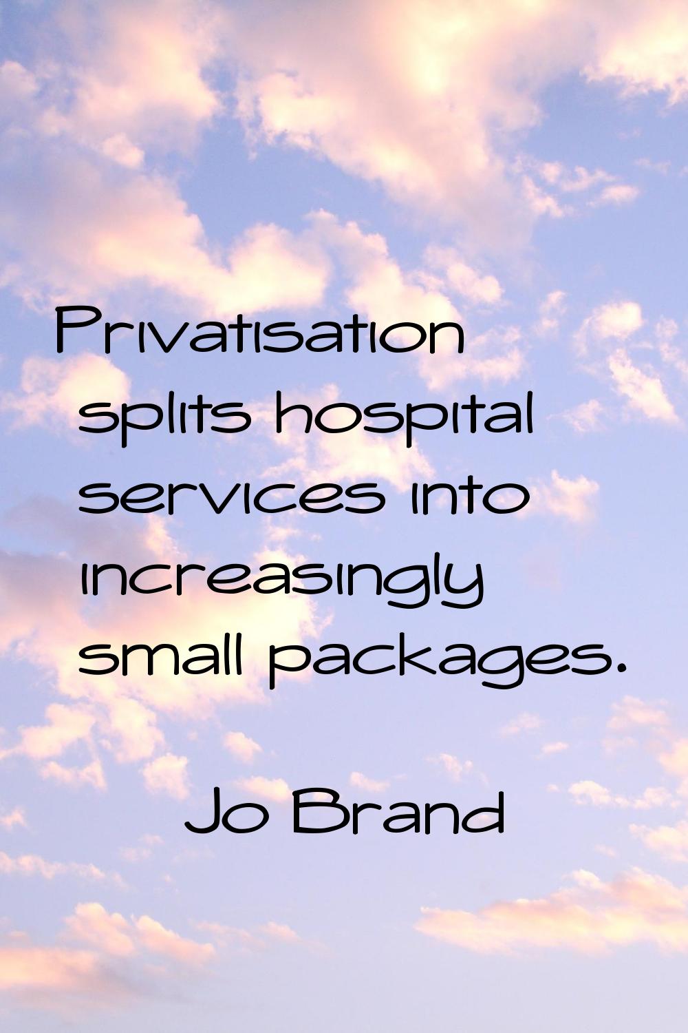 Privatisation splits hospital services into increasingly small packages.