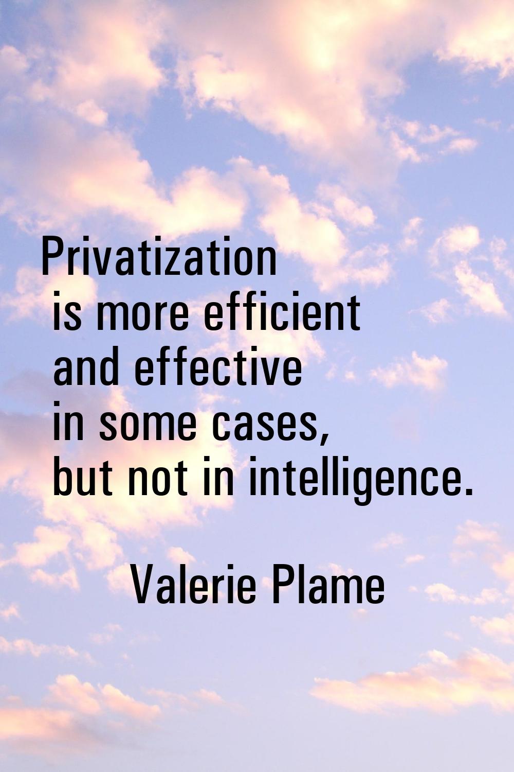 Privatization is more efficient and effective in some cases, but not in intelligence.