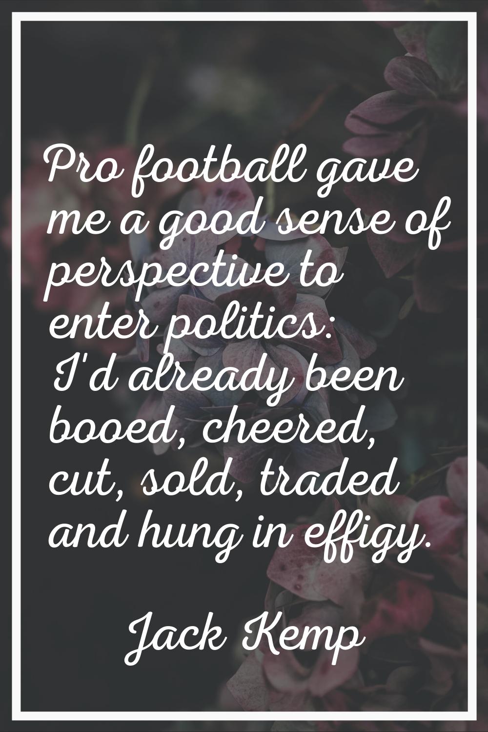 Pro football gave me a good sense of perspective to enter politics: I'd already been booed, cheered
