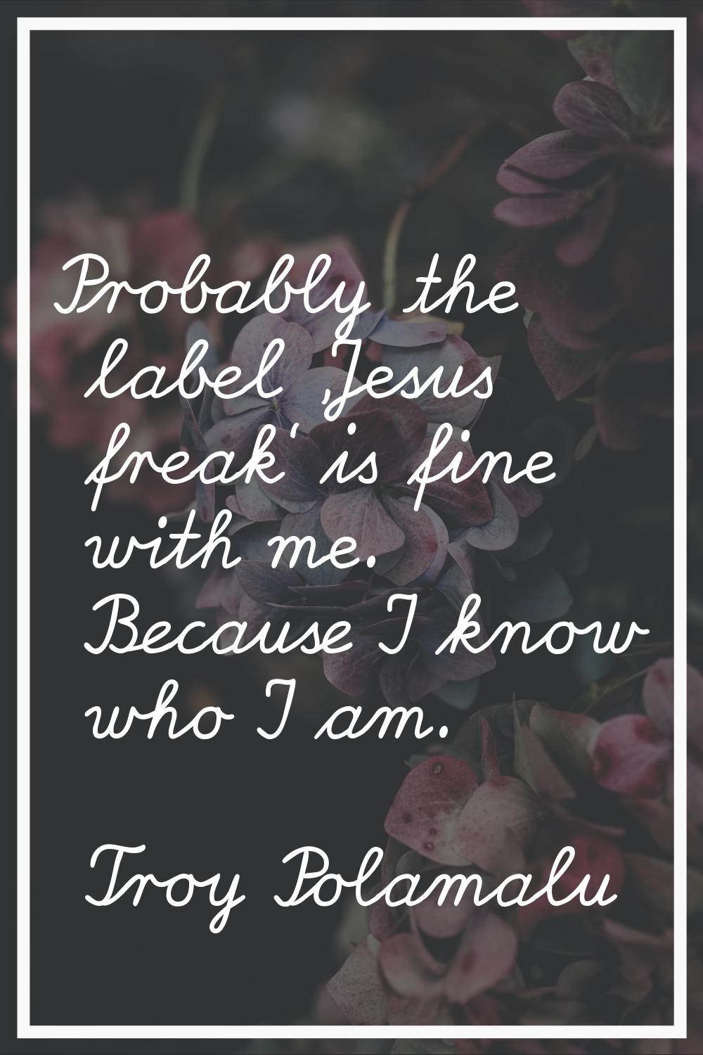 Probably the label 'Jesus freak' is fine with me. Because I know who I am.