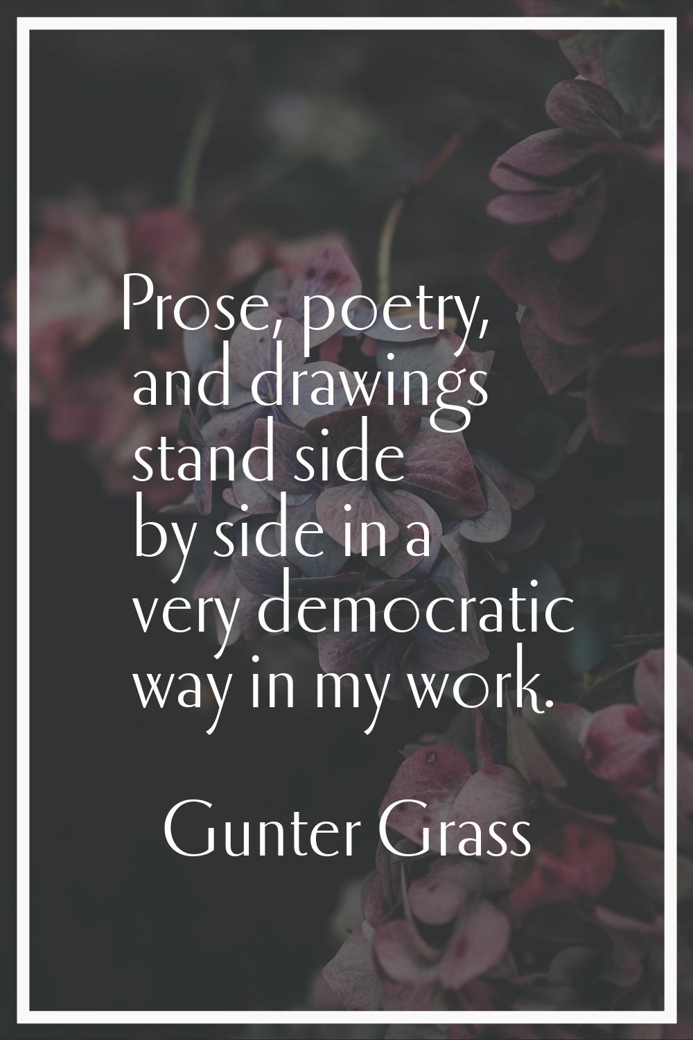 Prose, poetry, and drawings stand side by side in a very democratic way in my work.