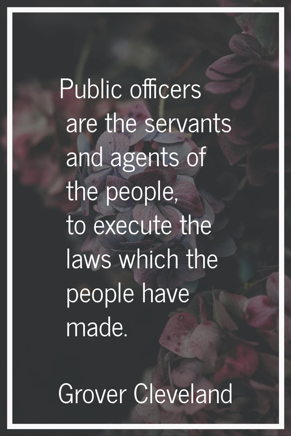 Public officers are the servants and agents of the people, to execute the laws which the people hav