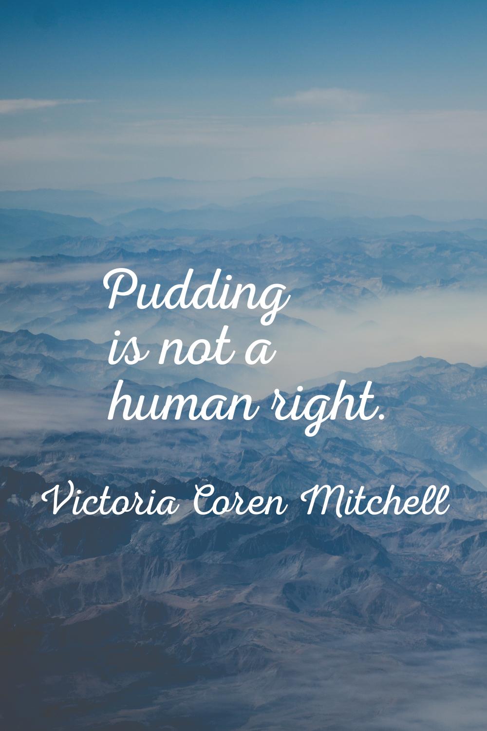 Pudding is not a human right.