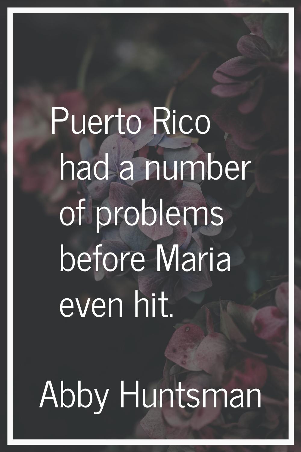 Puerto Rico had a number of problems before Maria even hit.
