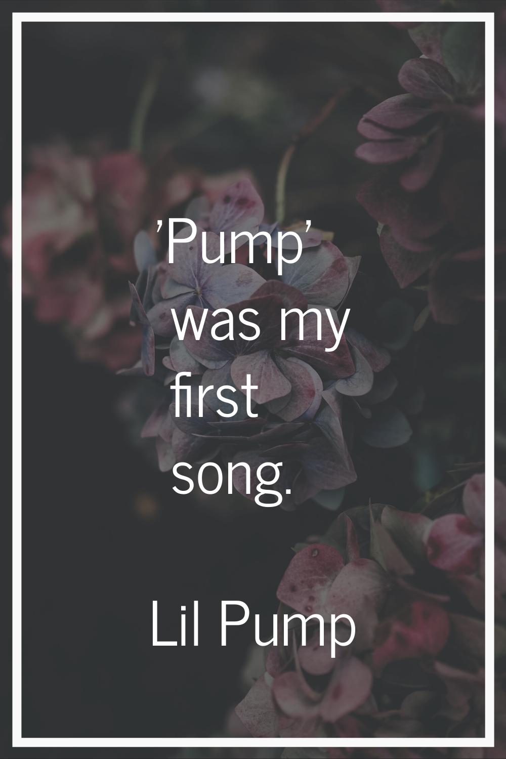 'Pump' was my first song.