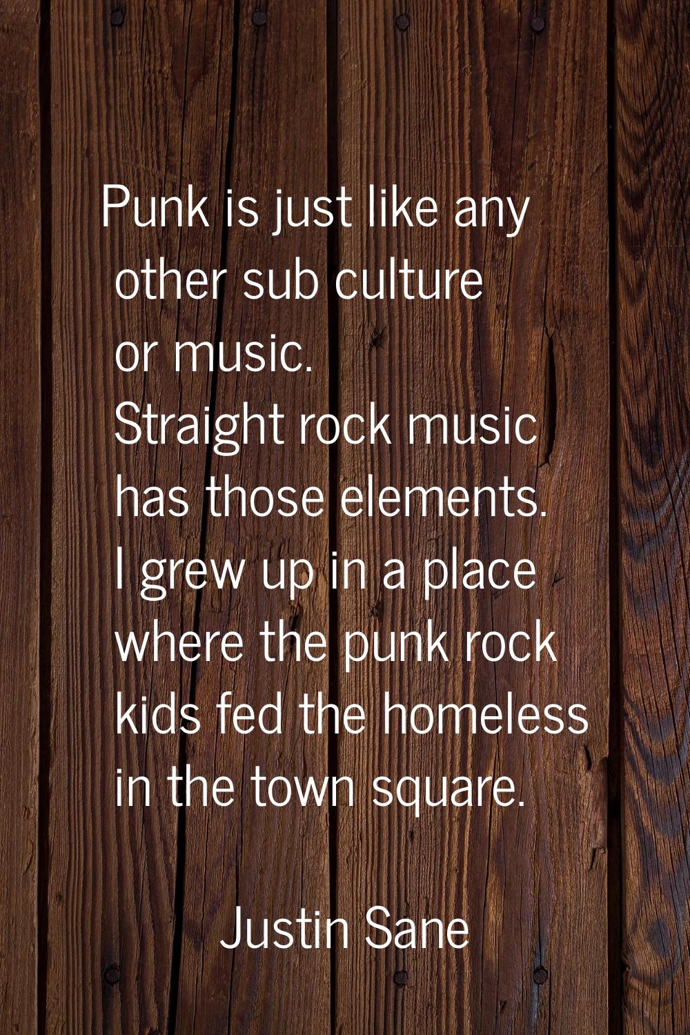 Punk is just like any other sub culture or music. Straight rock music has those elements. I grew up