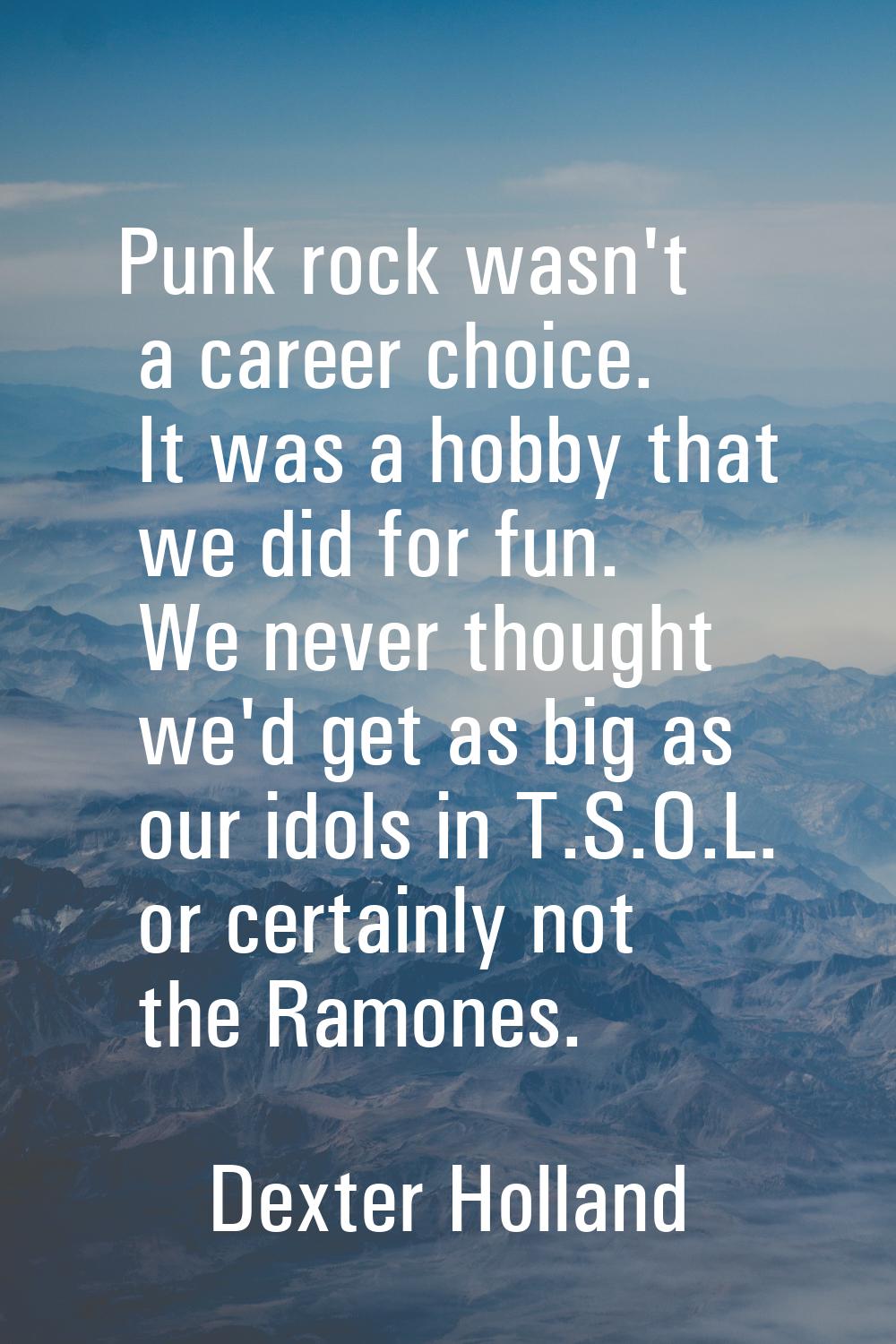 Punk rock wasn't a career choice. It was a hobby that we did for fun. We never thought we'd get as 